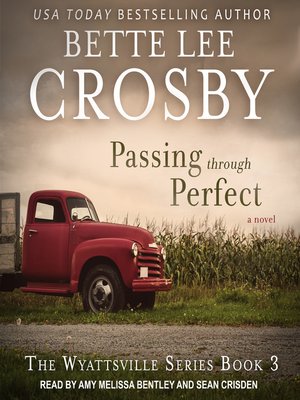 cover image of Passing through Perfect